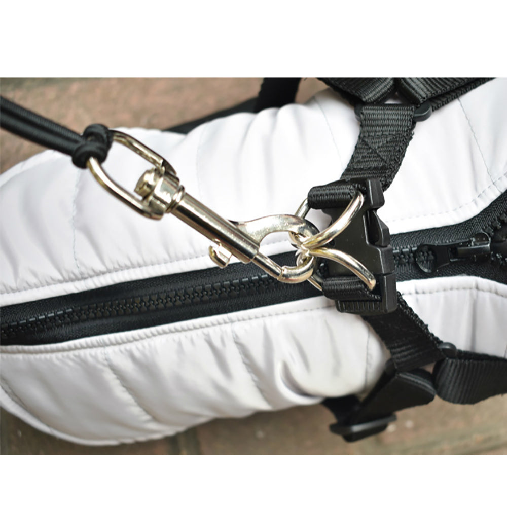 Stainless Steel Bike Leash For Pet Dogs