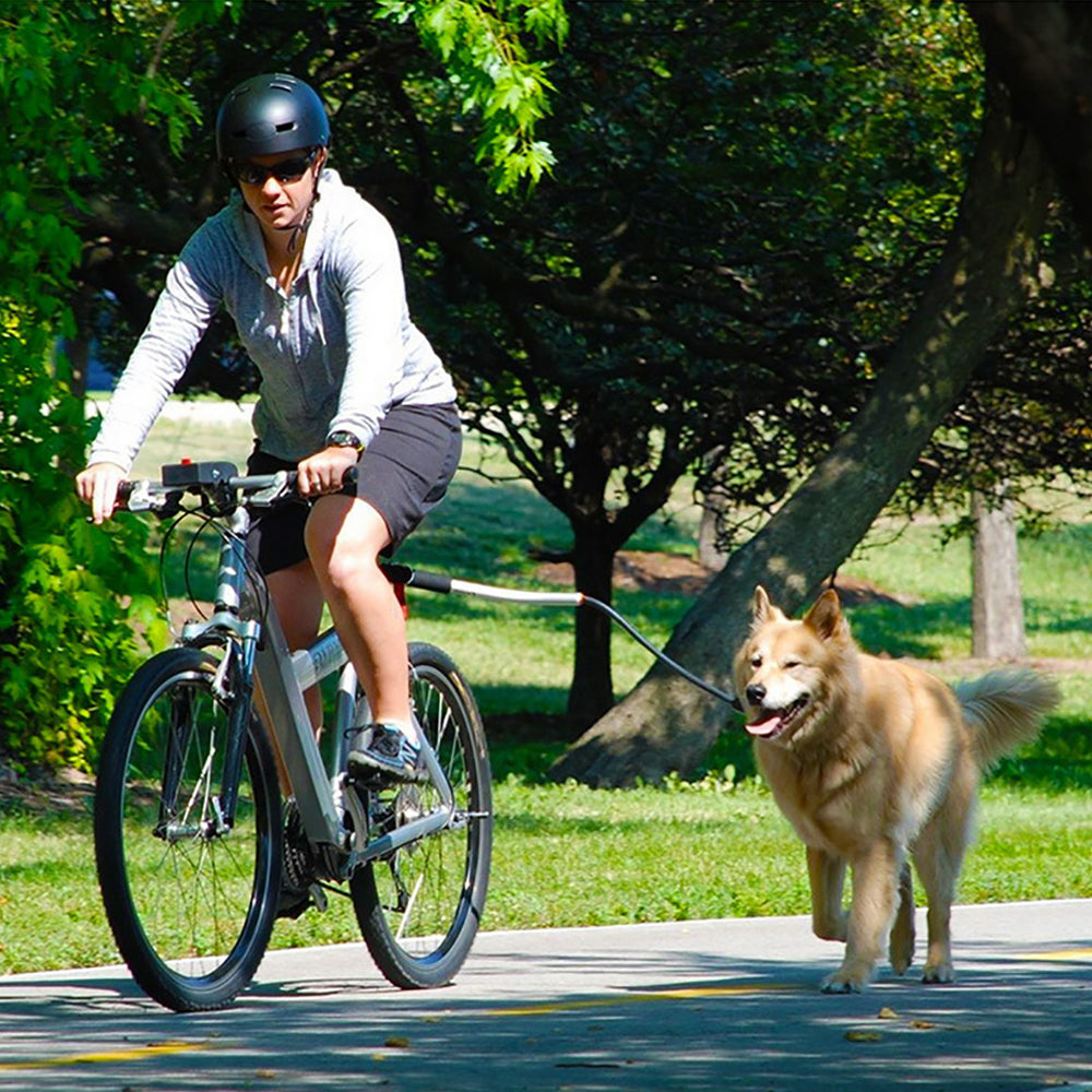 Stainless Steel Bike Leash For Pet Dogs