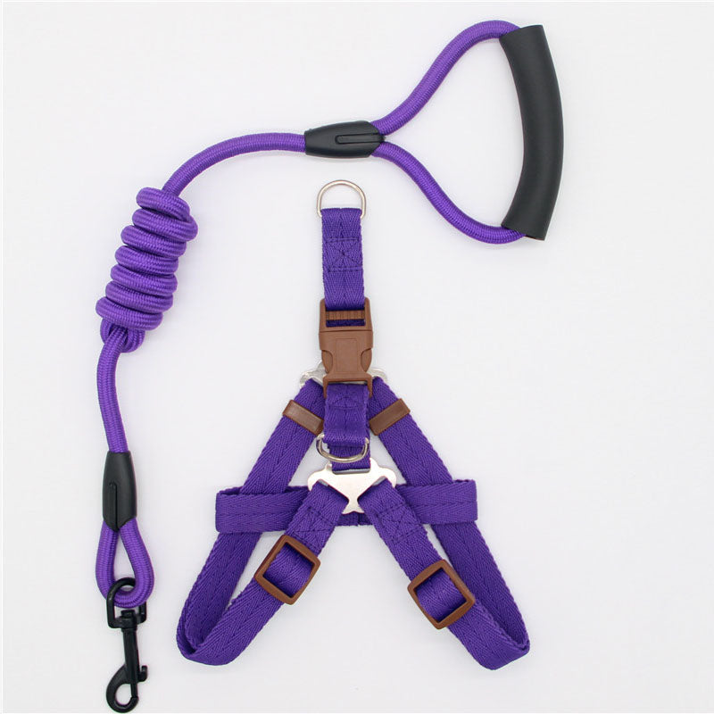 Simple Nylon Dog Leash