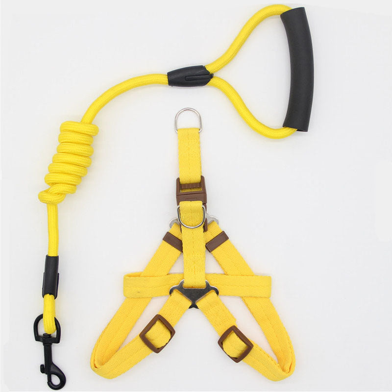 Simple Nylon Dog Leash
