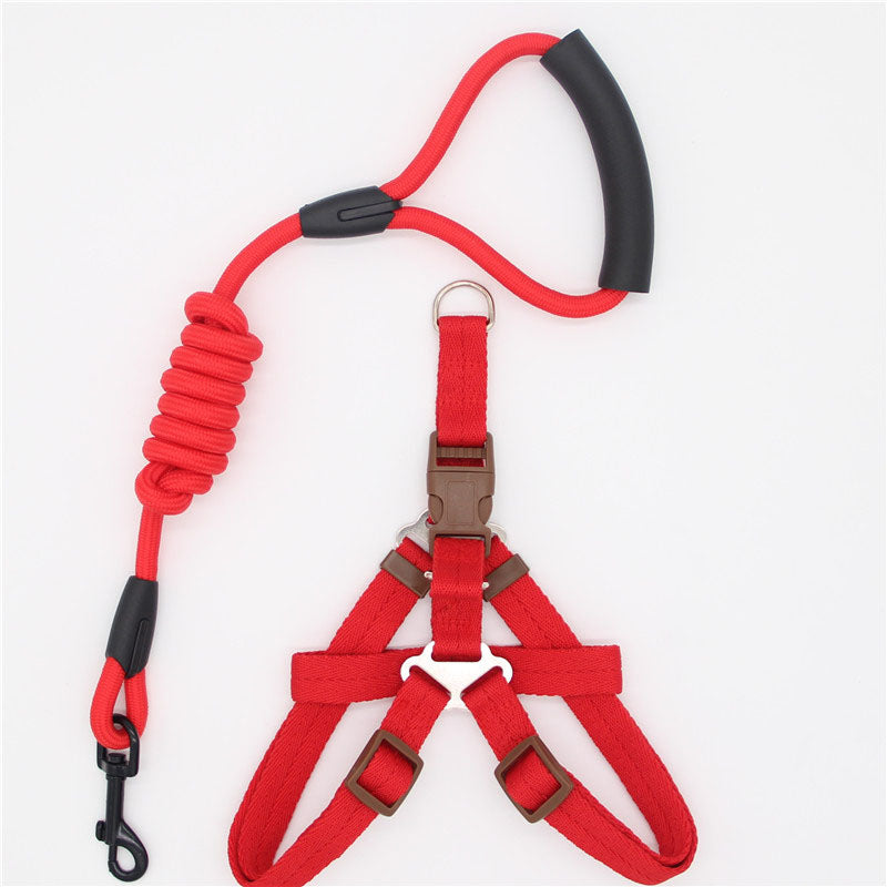 Simple Nylon Dog Leash