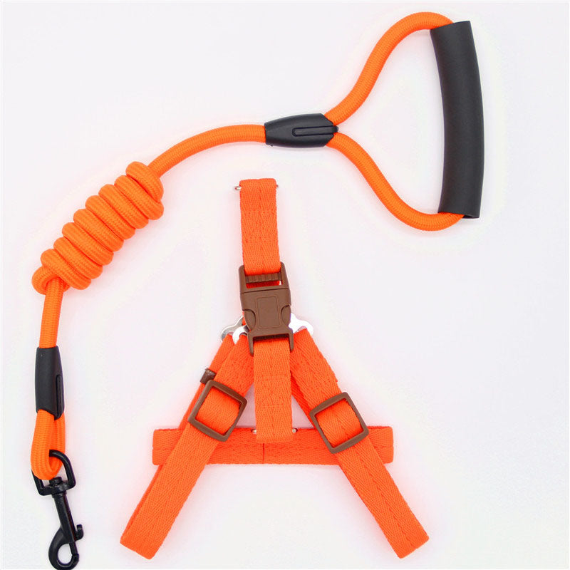 Simple Nylon Dog Leash