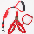Simple Nylon Dog Leash