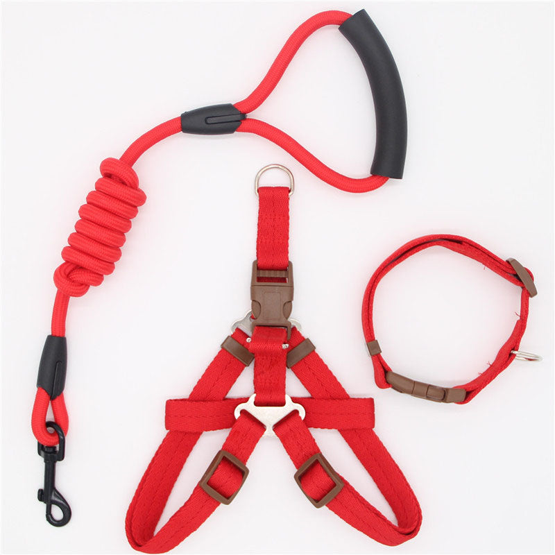Simple Nylon Dog Leash