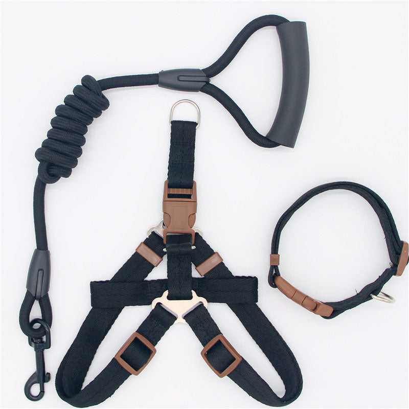 Simple Nylon Dog Leash
