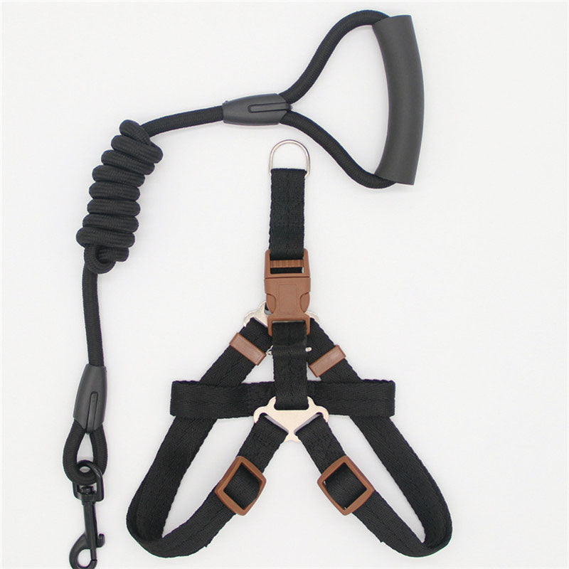 Simple Nylon Dog Leash