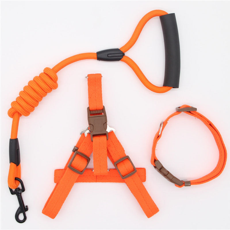 Simple Nylon Dog Leash