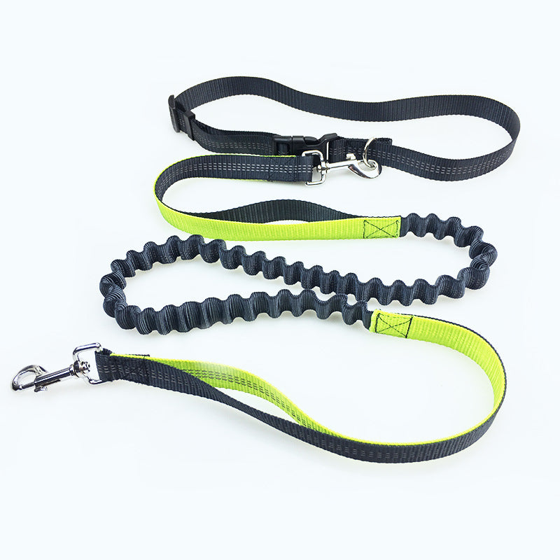 Polyester Dog Running Pull Leash