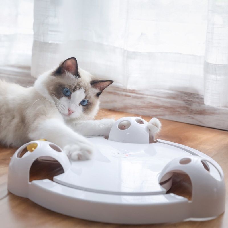 Auto-Rotating Mouse Turntable Intelligent Electric Play Disc Toy