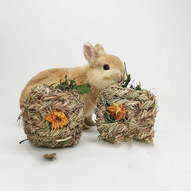 Small Pet Amused Grass Ball Dandelion Marigold Chrysanthemum Grass Ball