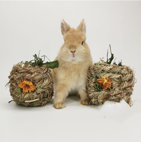 Small Pet Amused Grass Ball Dandelion Marigold Chrysanthemum Grass Ball