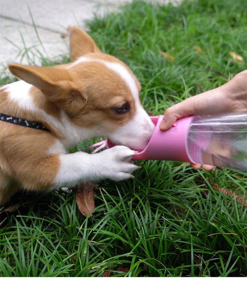 Portable Leak Proof Pet Water Bottle