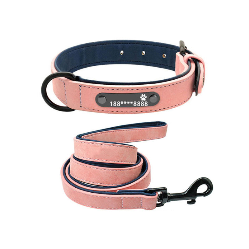 Custom Lettering Anti-Lost Dog Collar