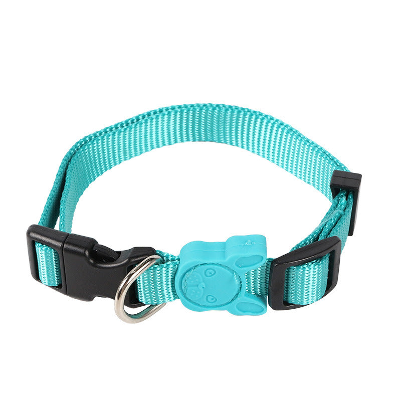 Large And Small Collars With Retractable Dog Leash
