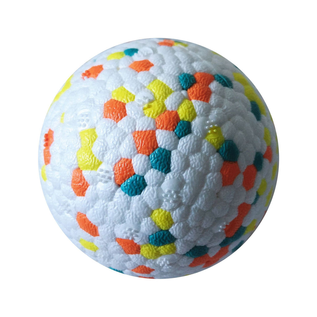 Interactive Dog Chew Ball