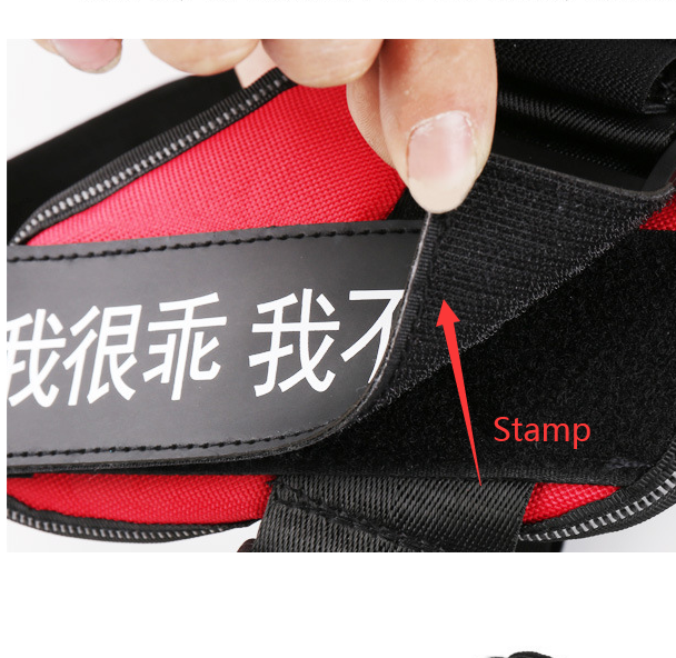 Personalized Dog Harness With Name
