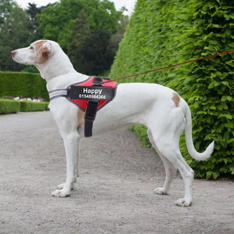 Personalized Dog Harness With Name
