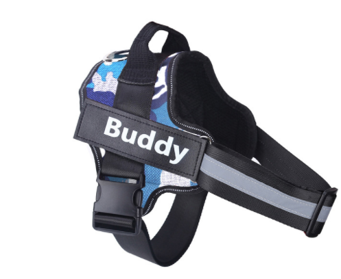 Personalized Dog Harness With Name