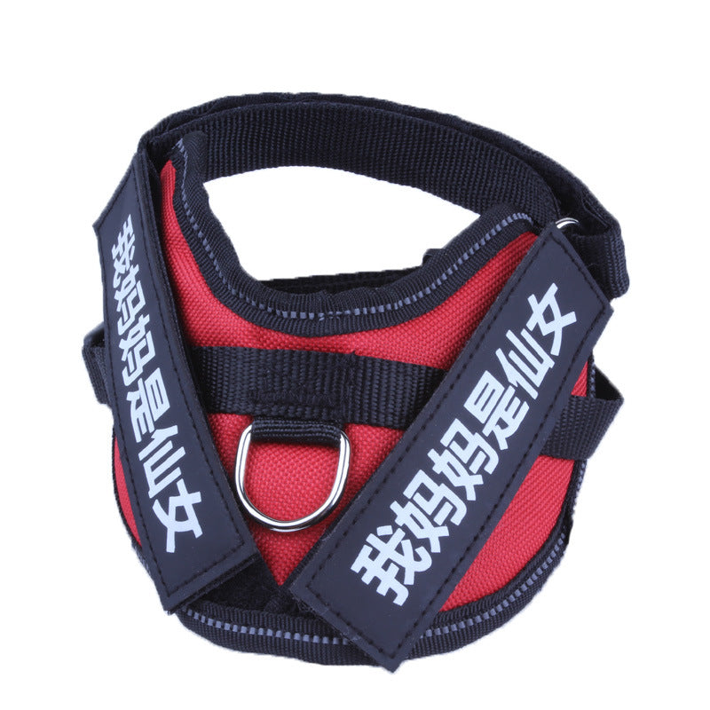 Personalized Dog Harness With Name