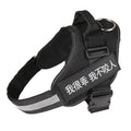 Personalized Dog Harness With Name