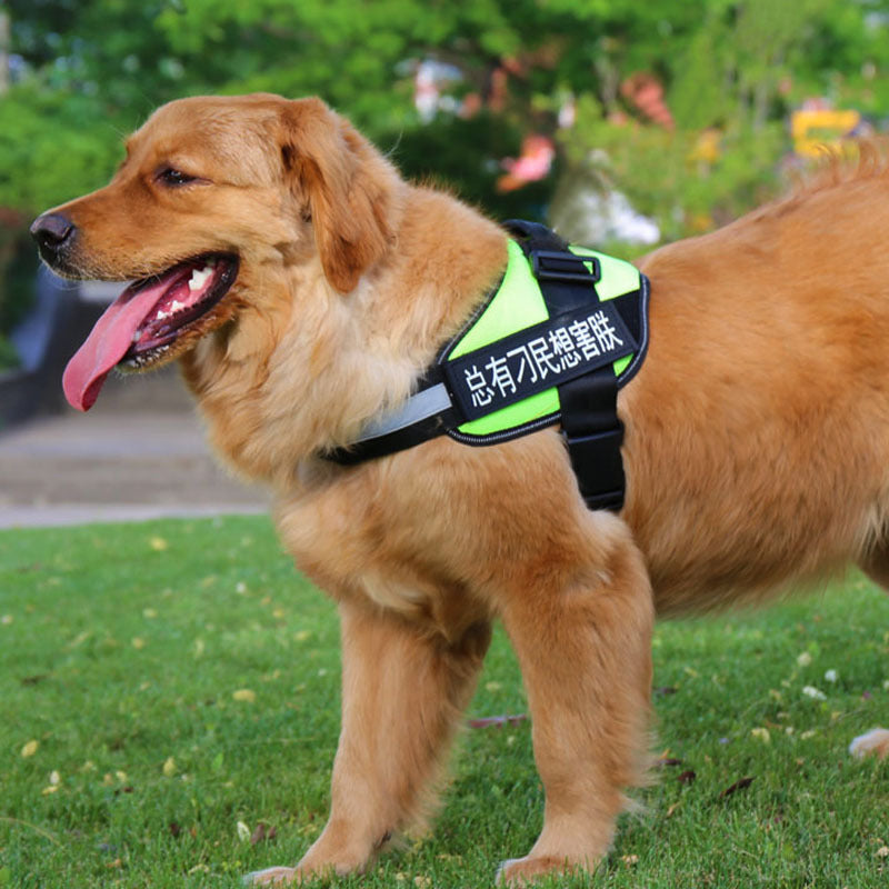 Personalized Dog Harness With Name