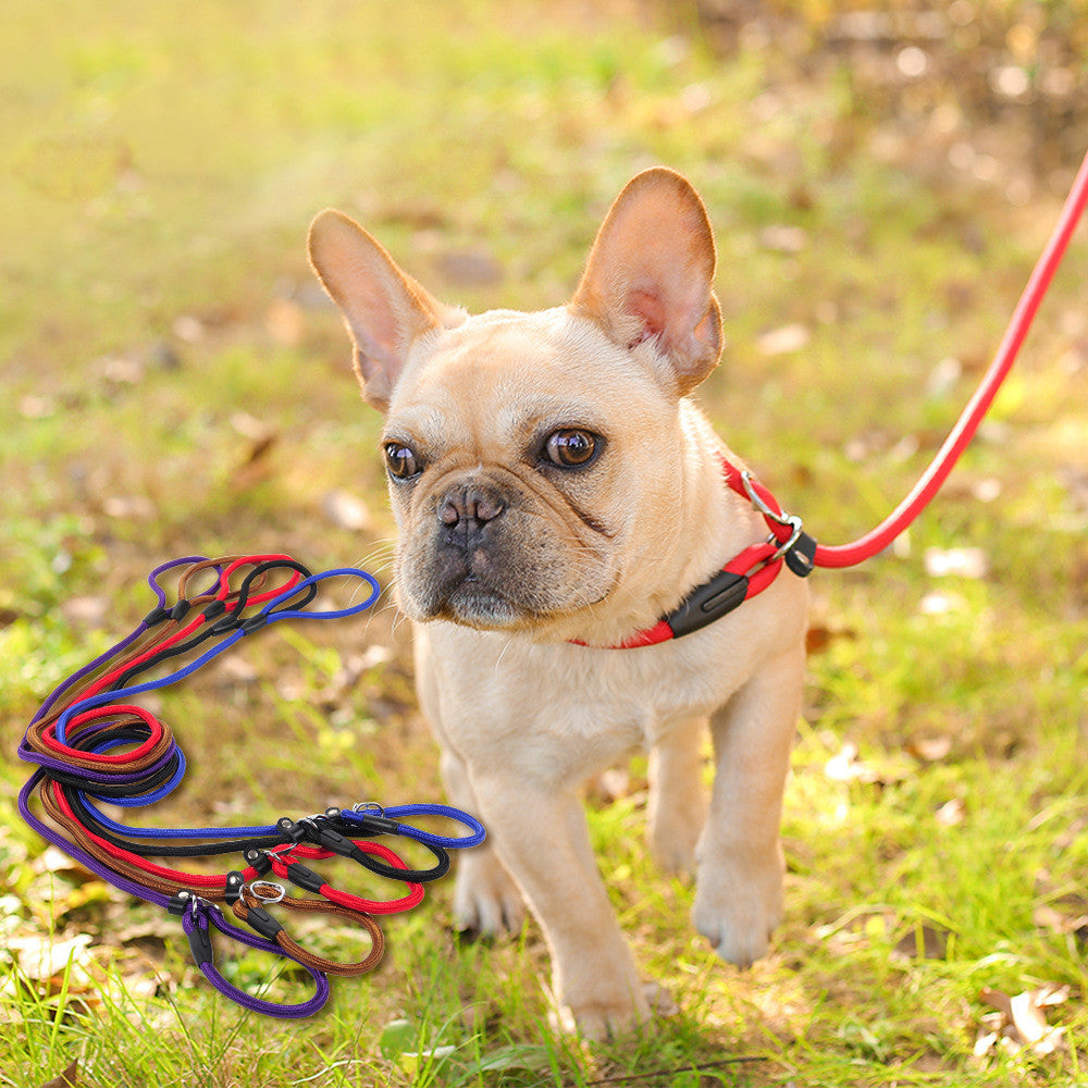 Nylon Dog Leash