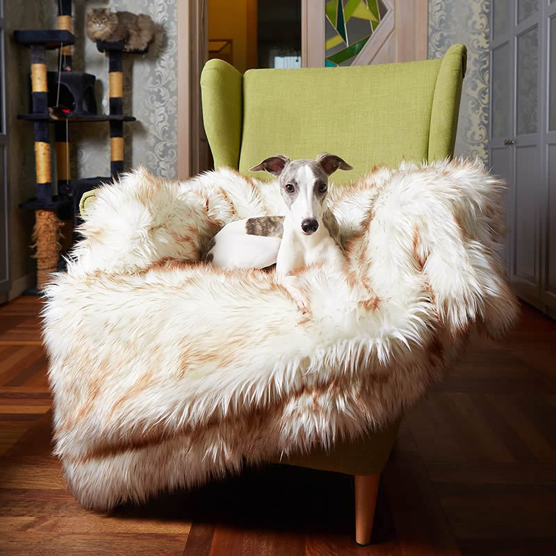 Machine Washable Waterproof Dog Couch Bed