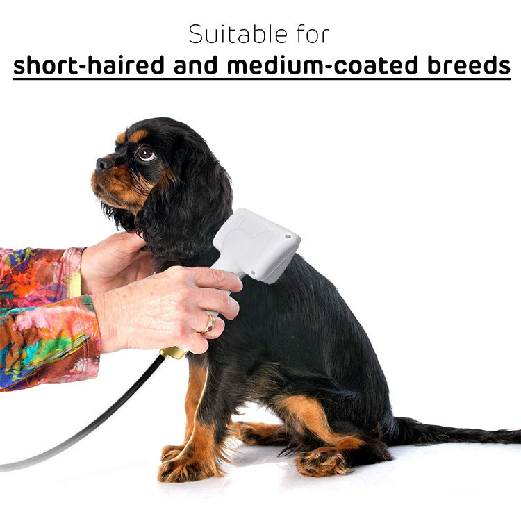 Drying Model Of Pet Hair Dryer