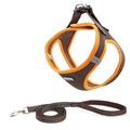 Dog Chest Harness And Leash Set