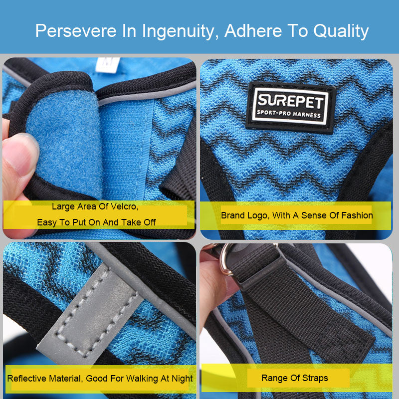 Dog Chest Harness And Leash Set