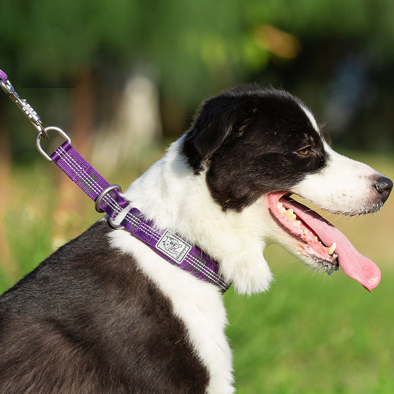 Simple Couple Style Dog Collar