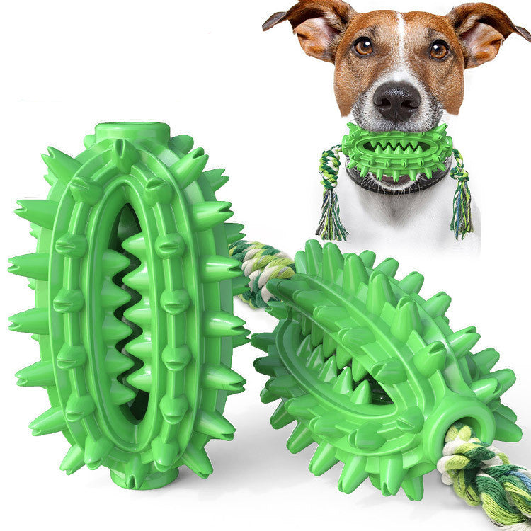 Dog Cactus Chew Toy With Rope