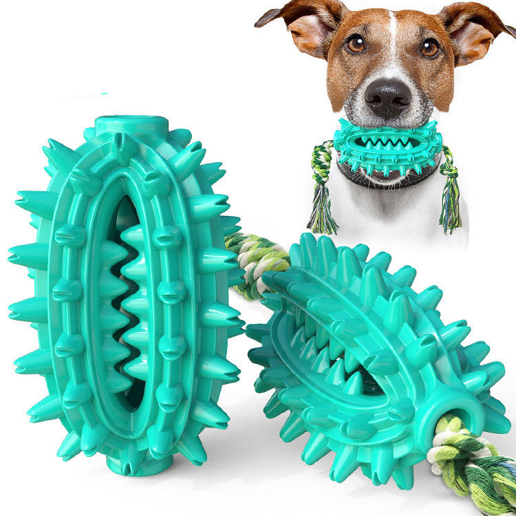 Dog Cactus Chew Toy With Rope