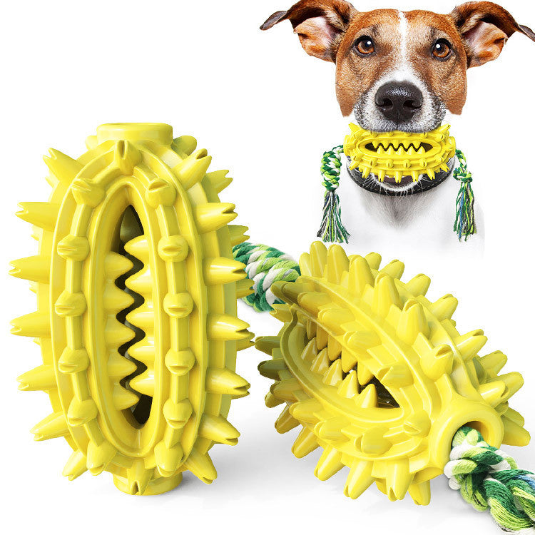 Dog Cactus Chew Toy With Rope