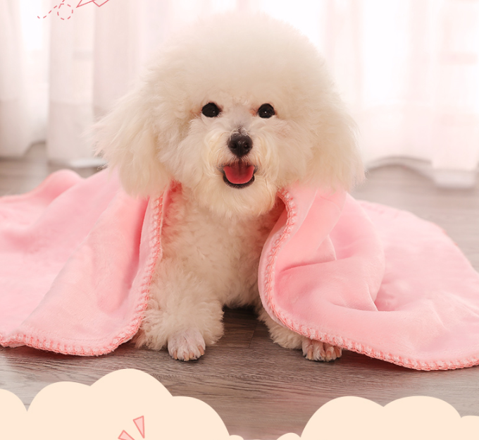 Double Heavy Thermal Pet Blanket