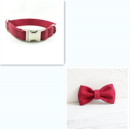 Everyday Dog Traction Collar
