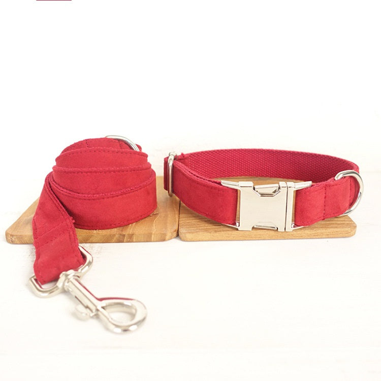 Everyday Dog Traction Collar