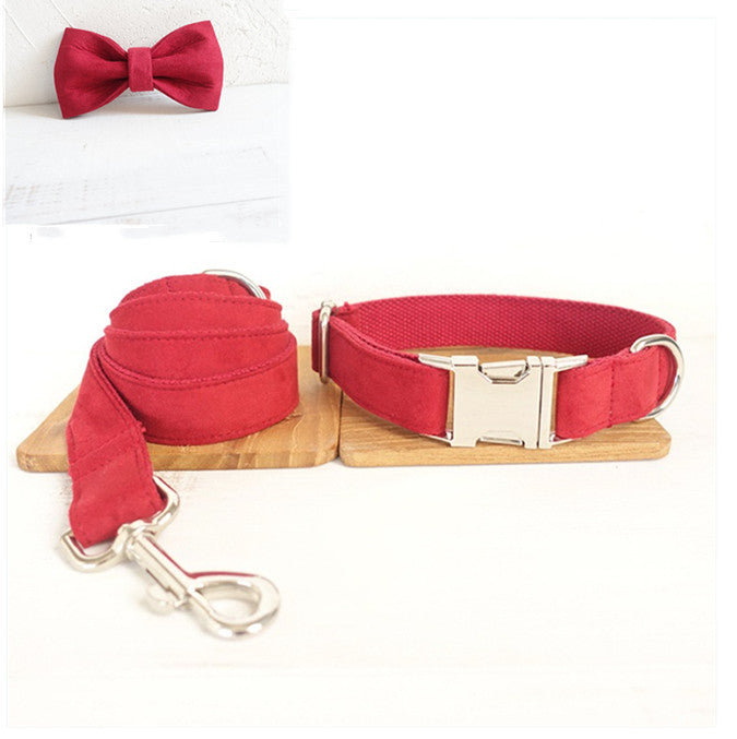 Everyday Dog Traction Collar