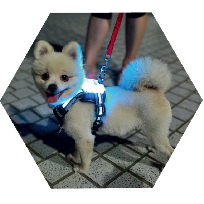 USB Rechargeable Silicone Luminous Dog Collar