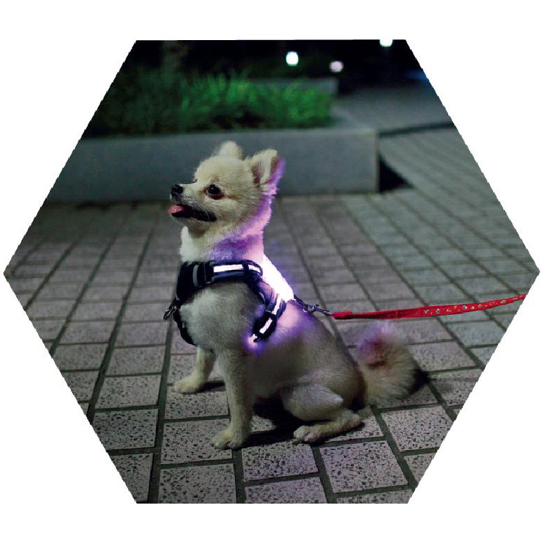 USB Rechargeable Silicone Luminous Dog Collar