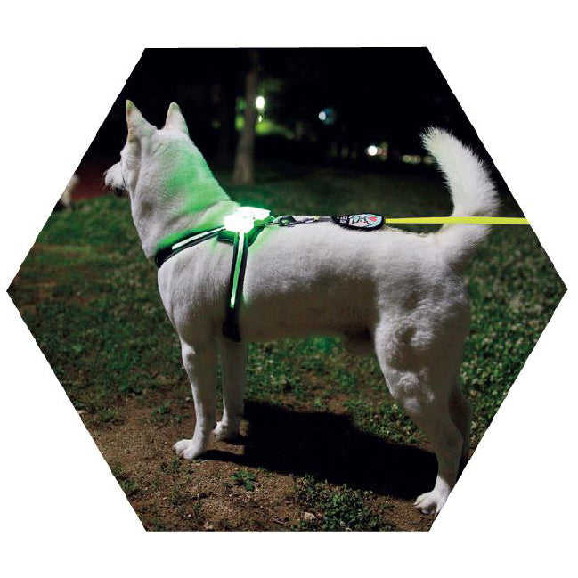 USB Rechargeable Silicone Luminous Dog Collar