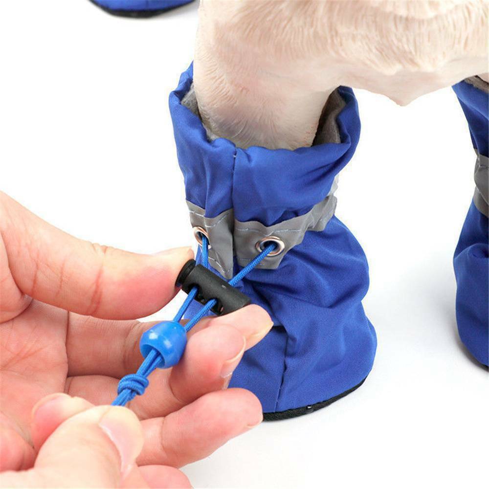 Four Seasons Breathable Dog Shoes And Socks