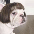Toshomono Wig Cospaly Tool Wig Wig