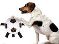 Outdoor Training Interactive Rope Football