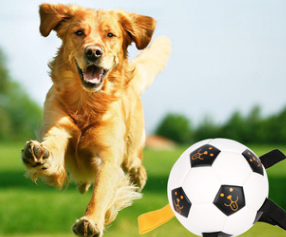 Outdoor Training Interactive Rope Football