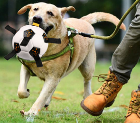 Outdoor Training Interactive Rope Football