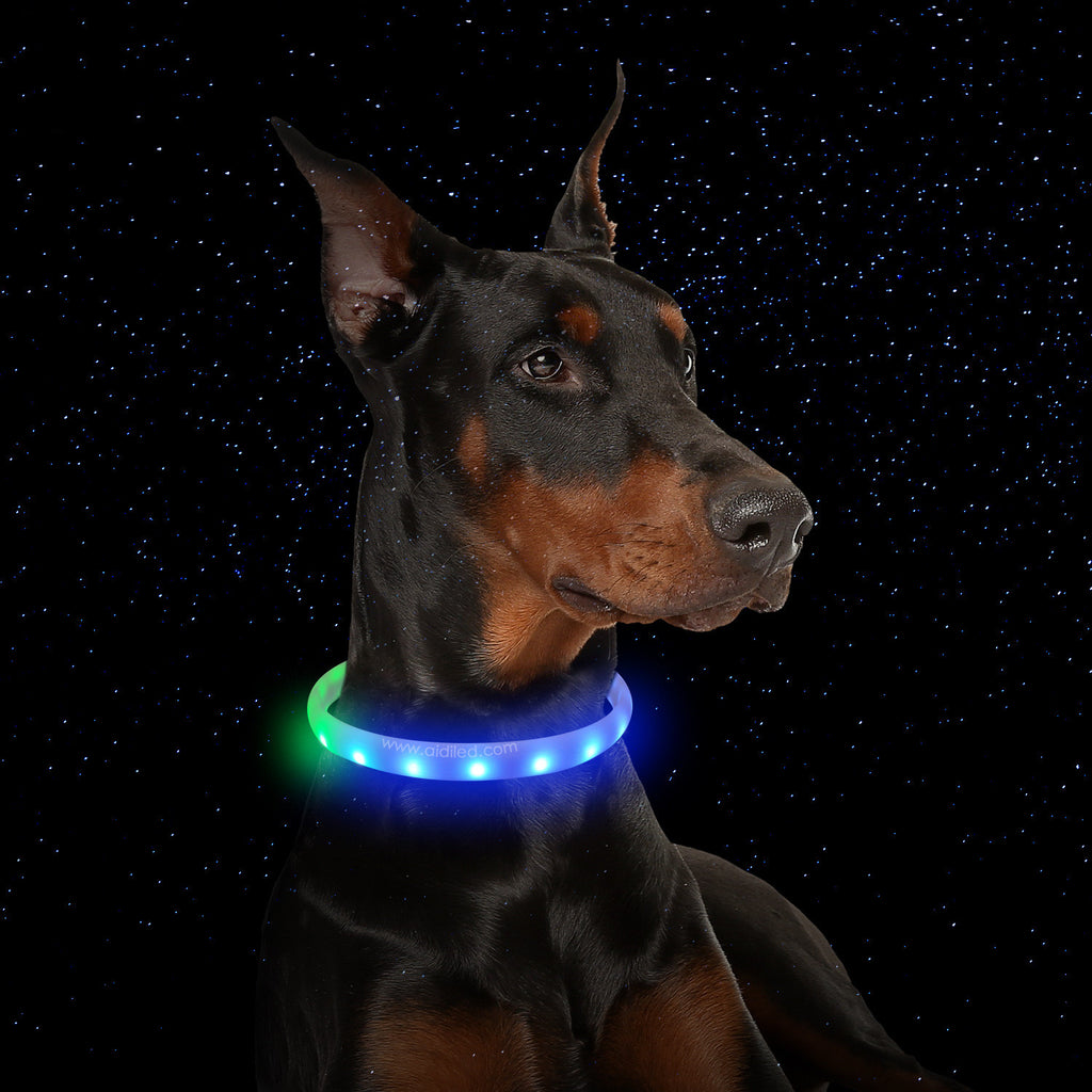 USB Rechargeable Light-Up Dog Collar