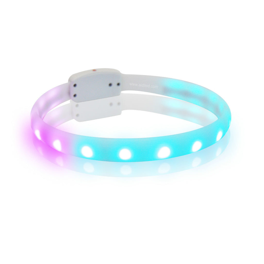 USB Rechargeable Light-Up Dog Collar