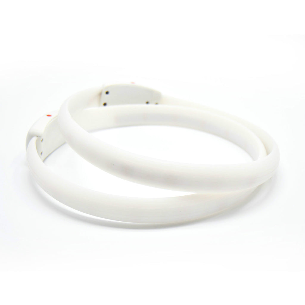 USB Rechargeable Light-Up Dog Collar