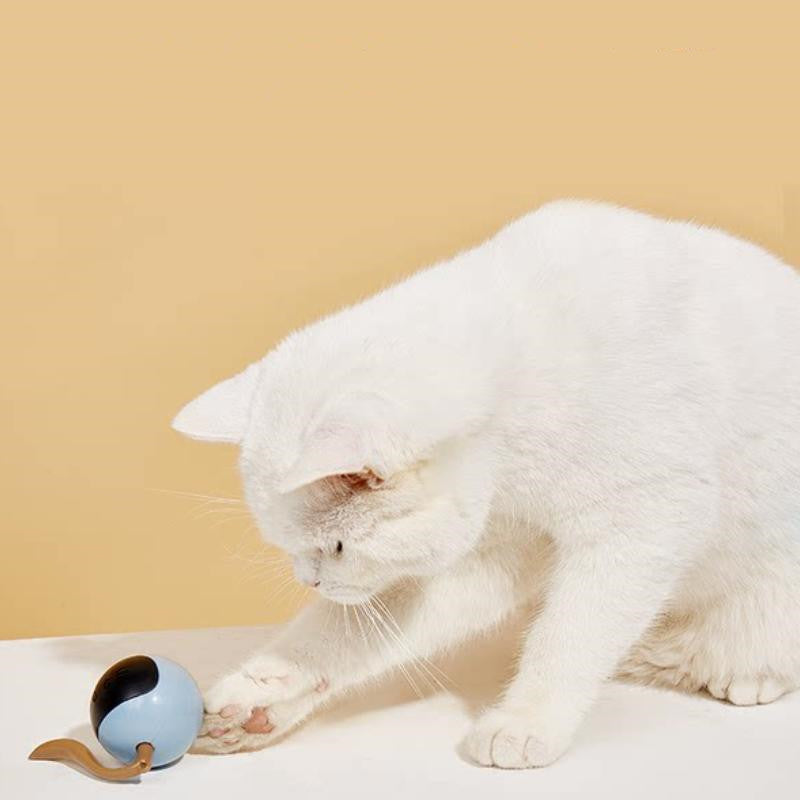 Interactive Colorful LED Rotating Pet Ball